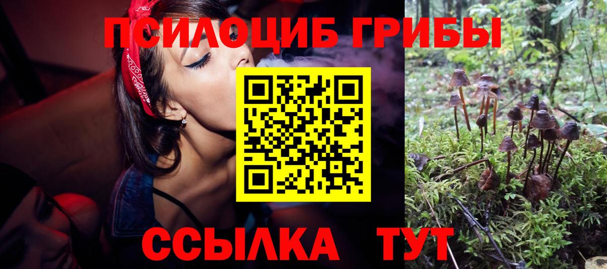 Псилоцибиновые грибы мицелий Екатеринбург
