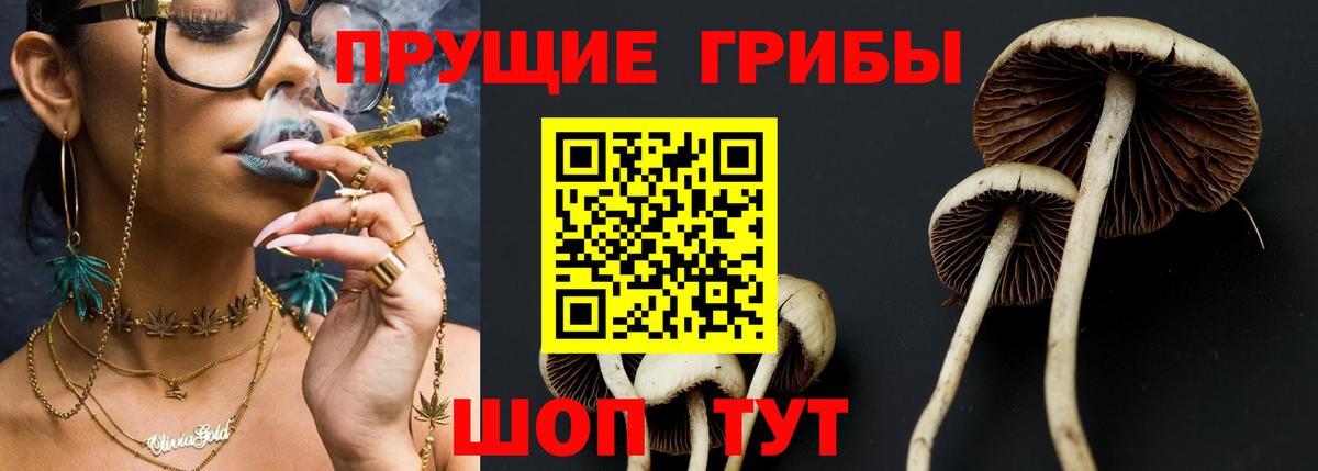 Псилоцибиновые грибы прущие грибы  Вход с VPN  Екатеринбург 