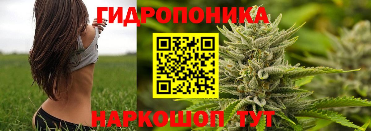 Конопля White Widow  Марихуана AK-47  МАРИХУАНА планчик  Вход с VPN  Бошки марихуана Ganja  Екатеринбург 